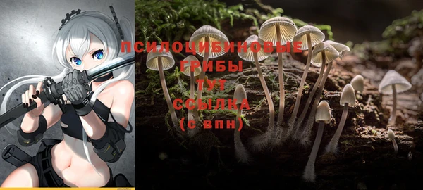 мяу мяу кристалл Михайлов